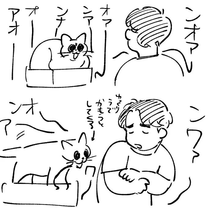 食欲増進剤飲ませた猫怖い 