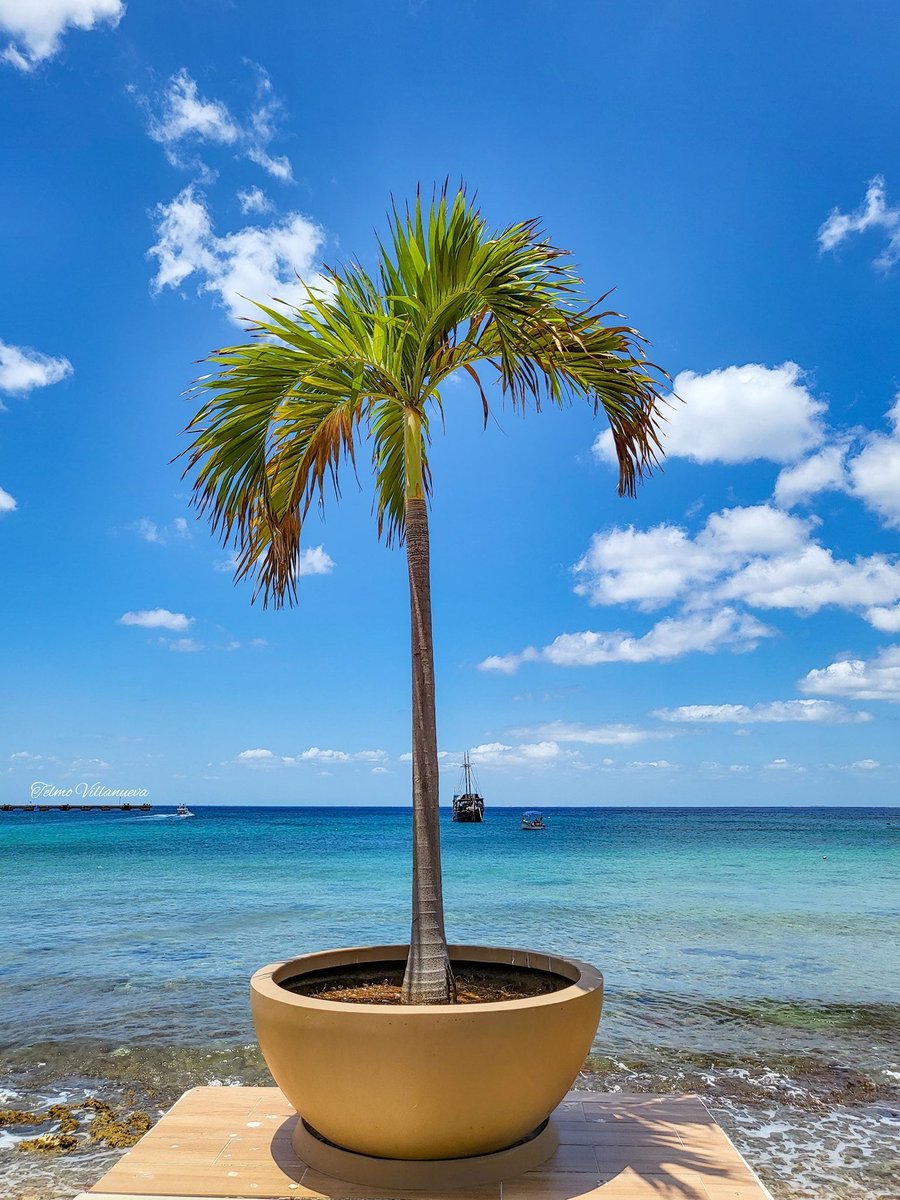 Stingrayvilla's tweet image. ☀️ Soaking up the last rays of summer before they slip away like sand through our fingers. ☀️ Don&apos;t let August end without a sun-kissed memory! 🌴🌊 
.
.
#MissingSummerSunshine #EndlessSummerVibes #teamboostly #islacozumel #cozumelmexico #cozumel #cozumeldiving #cozumelisland