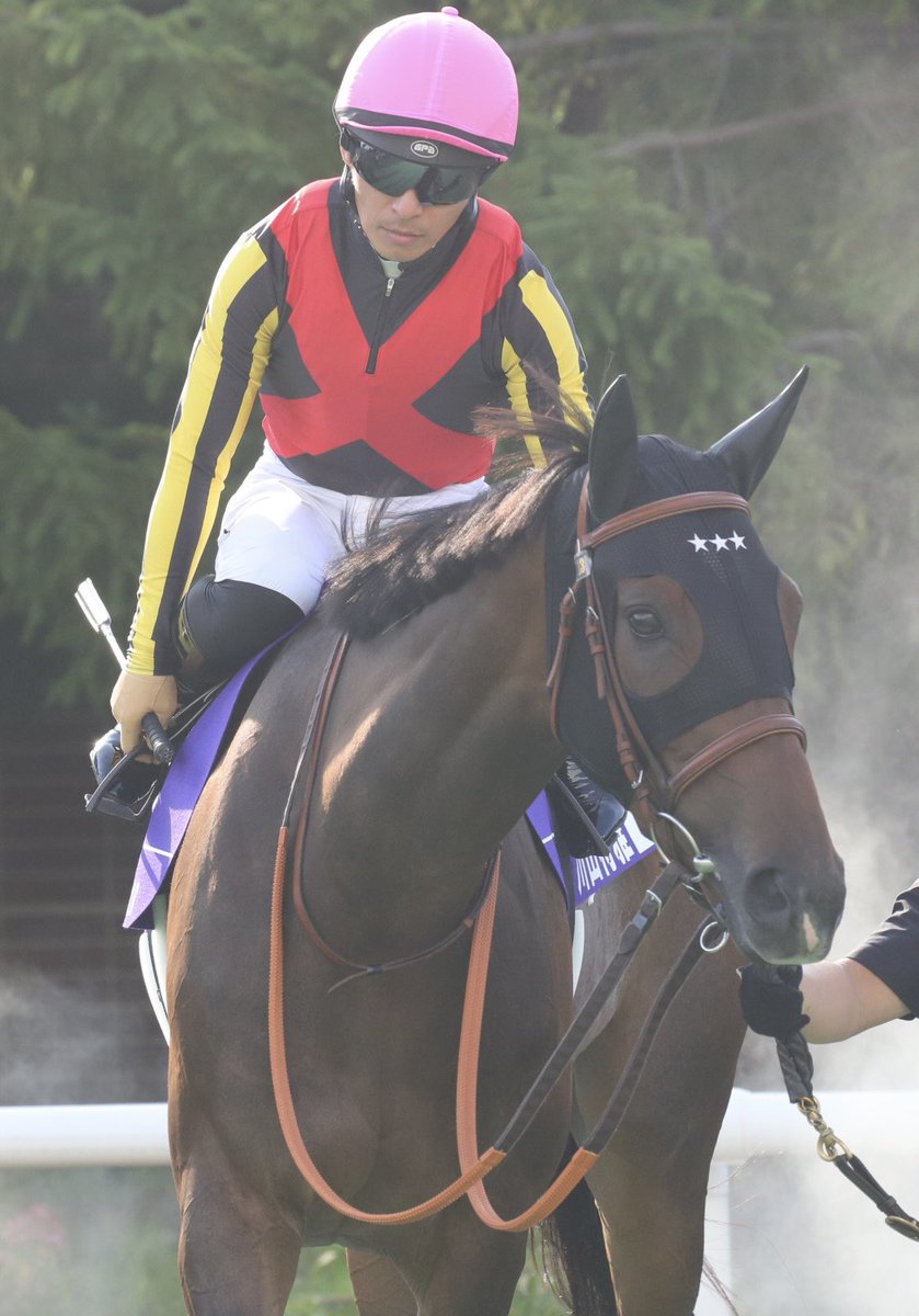 danon_premium15's tweet image. 載せてなかった中でお気に入りのやつ①
#WASJ
#WASJ2024 
#札幌競馬場