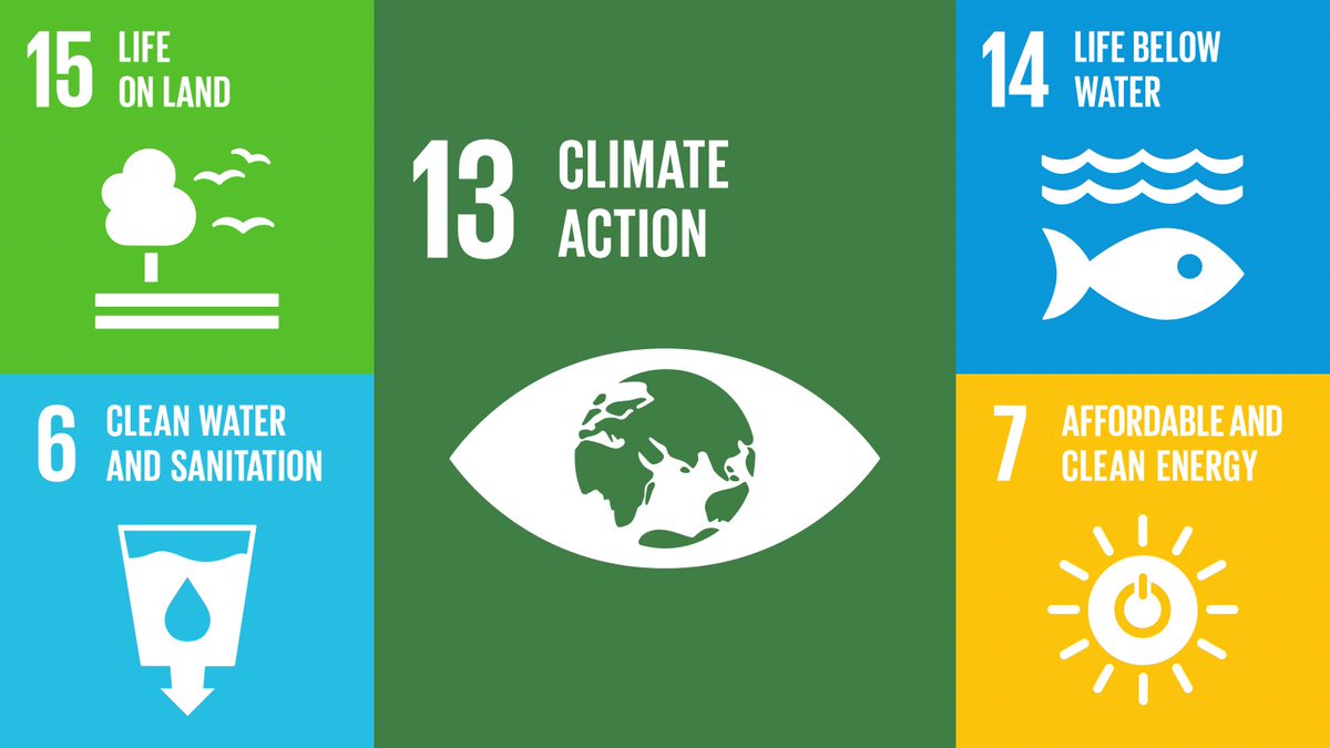 UNDPEgypt's tweet image. 🗝️Key SDGs for a healthy 🌍: 
 
🌱 Climate Action #SDG13
🐠 Life Below Water #SDG14
🦋 Life on Land #SDG15 
☀️ Clean Energy #SDG7
💧Clean Water #SDG6
 
#GlobalGoals💚
