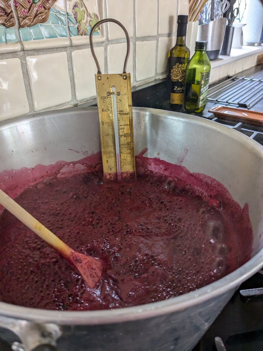 You know it's the end of summer when you've been out foraging blackberries to make jam....