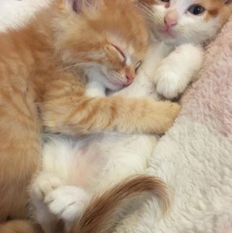 Snuggle