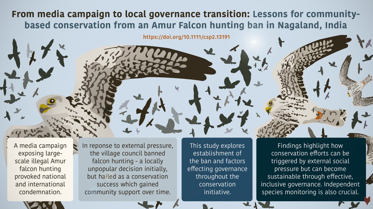 diogoverissimo.bsky.social tweet media