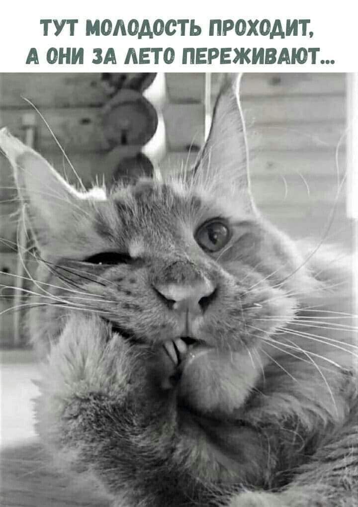 klimenko2012's tweet image. 