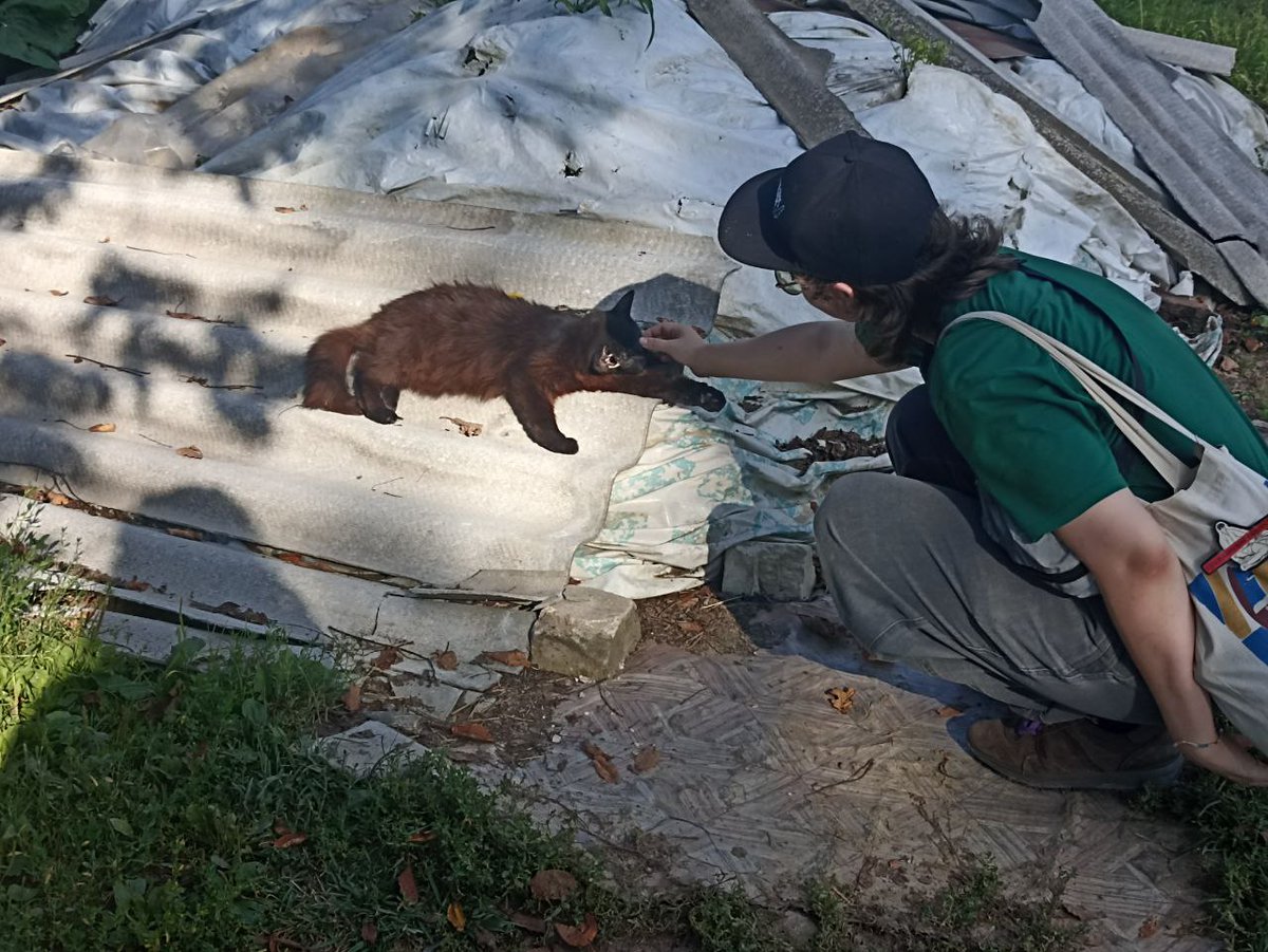 тася завалталь 🎲 tweet media