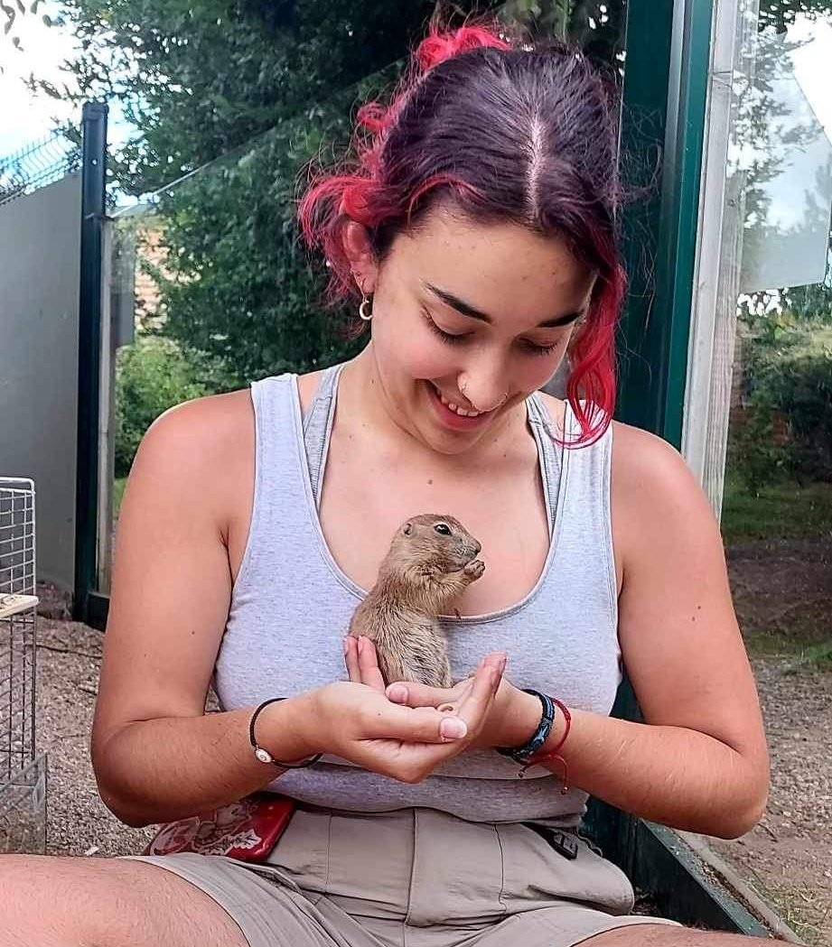 Galliane's tweet photo. Ma fille cherche une solution de logement pour un stage au parc animalier d'Amnéville du 23 septembre au 14 novembre.
Elle n'est pas rémunérée, on cherche donc qq chose moindre frais et à distance du parc sans permis (à pied, vélo ou transports en commun).
Merci pour votre aide ! https://t.co/9wgZS1s7N8