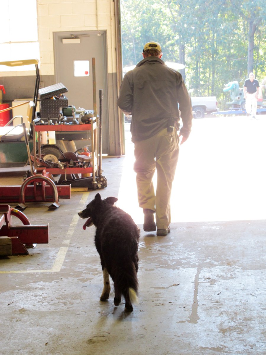 SyngentaTurfCanada tweet media