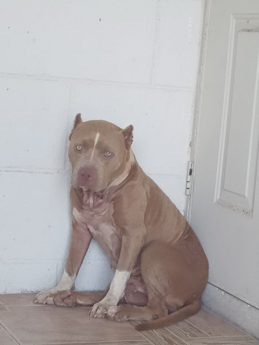 SLAM 101.1 FM tweet media