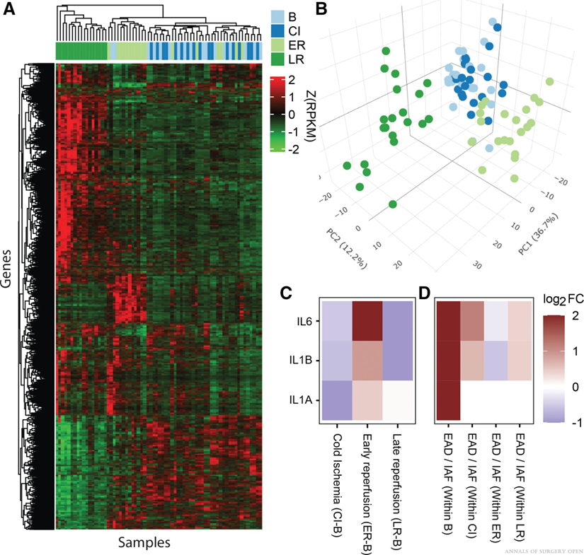 MCW Mellowes Center tweet media