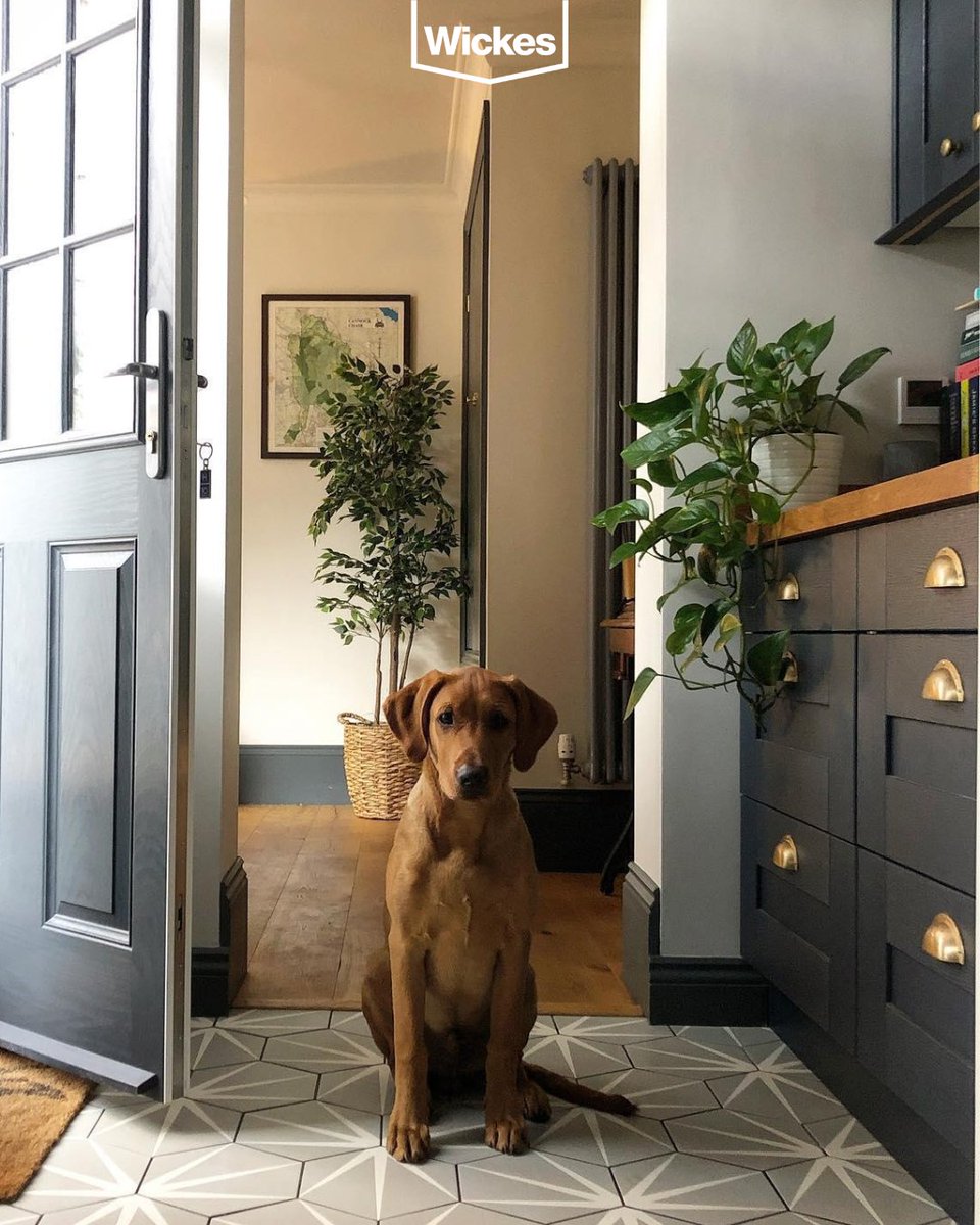 Wickes's tweet photo. Happy National Dog Day!
It looks like your furry friends love Wickes just as much as we do๐ถ
Keep tagging us in your photos we love seeing the whole family getting involved with a DIY project.
#Wickes #WithWickes #Dog #Puppy #Pooch #DIY #Pets https://t.co/2YrFEujxPj
