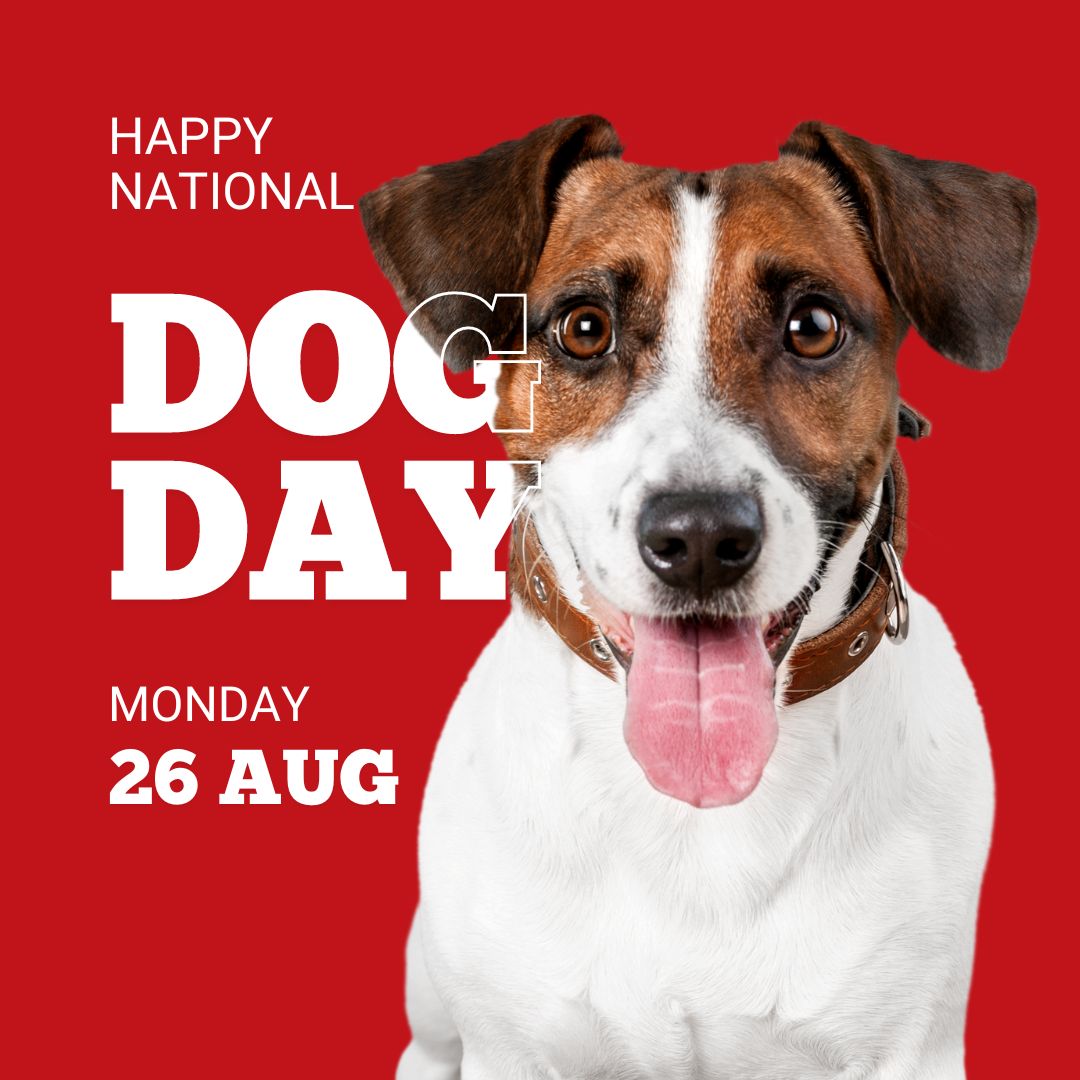 air_merts's tweet photo. Happy National Dog Day 🐾🎉 Here’s to all the amazing pups who bring joy to our lives! https://t.co/luy74sK1F3