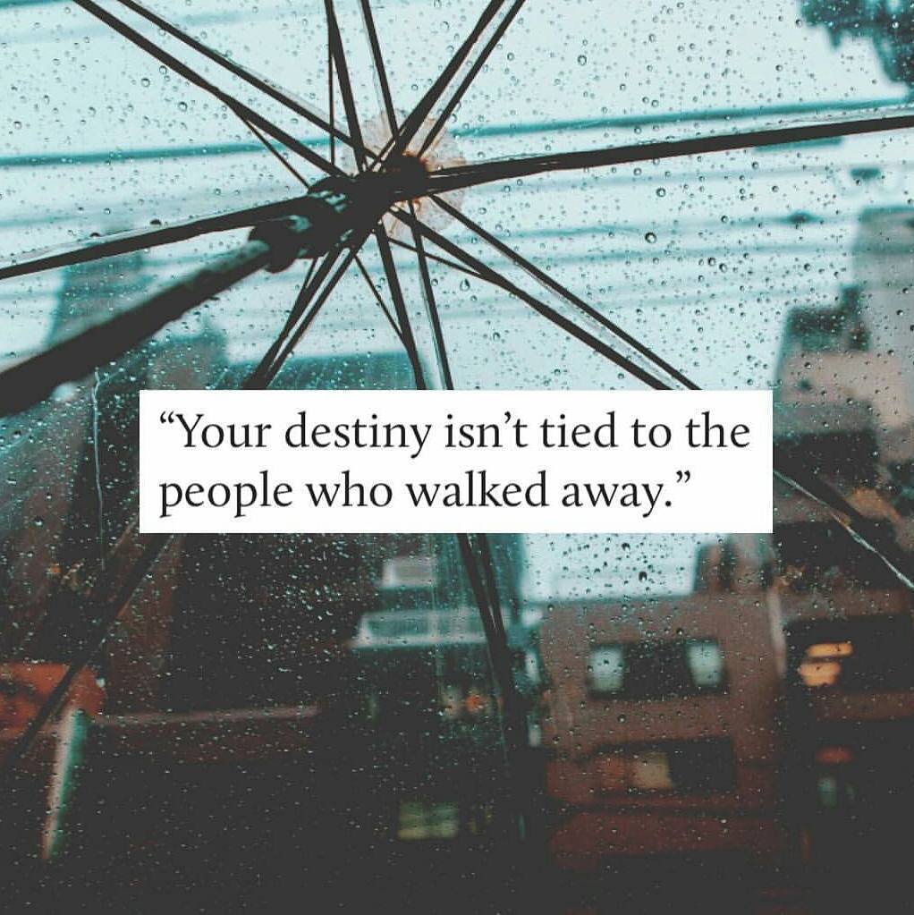 creighton_nick's tweet image. Witches often use elderberries for healing and protection spells. #ElderberryMagic #HealingSpells #ProtectionMagic #HerbalWisdom #WitchcraftTools #NatureMagic #MysticalRituals