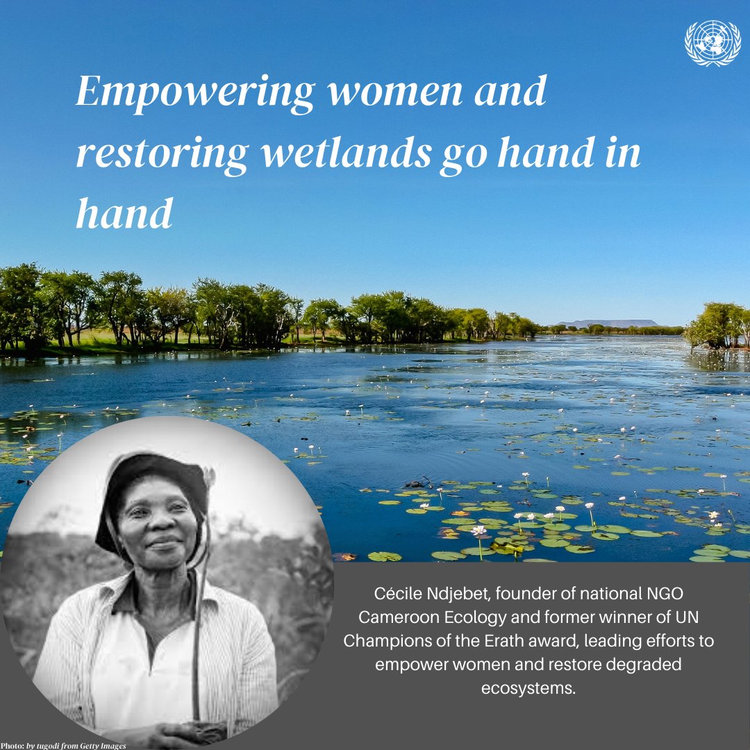 UNEP's tweet image. It is possible to make the world green and more equitable.

Cécile Ndjebet, a UN #EarthChamps winner, is spearheading empowerment efforts, working with local communities, and leading conservation initiatives.

@AfricaRenewal info: un.org/africarenewal/…