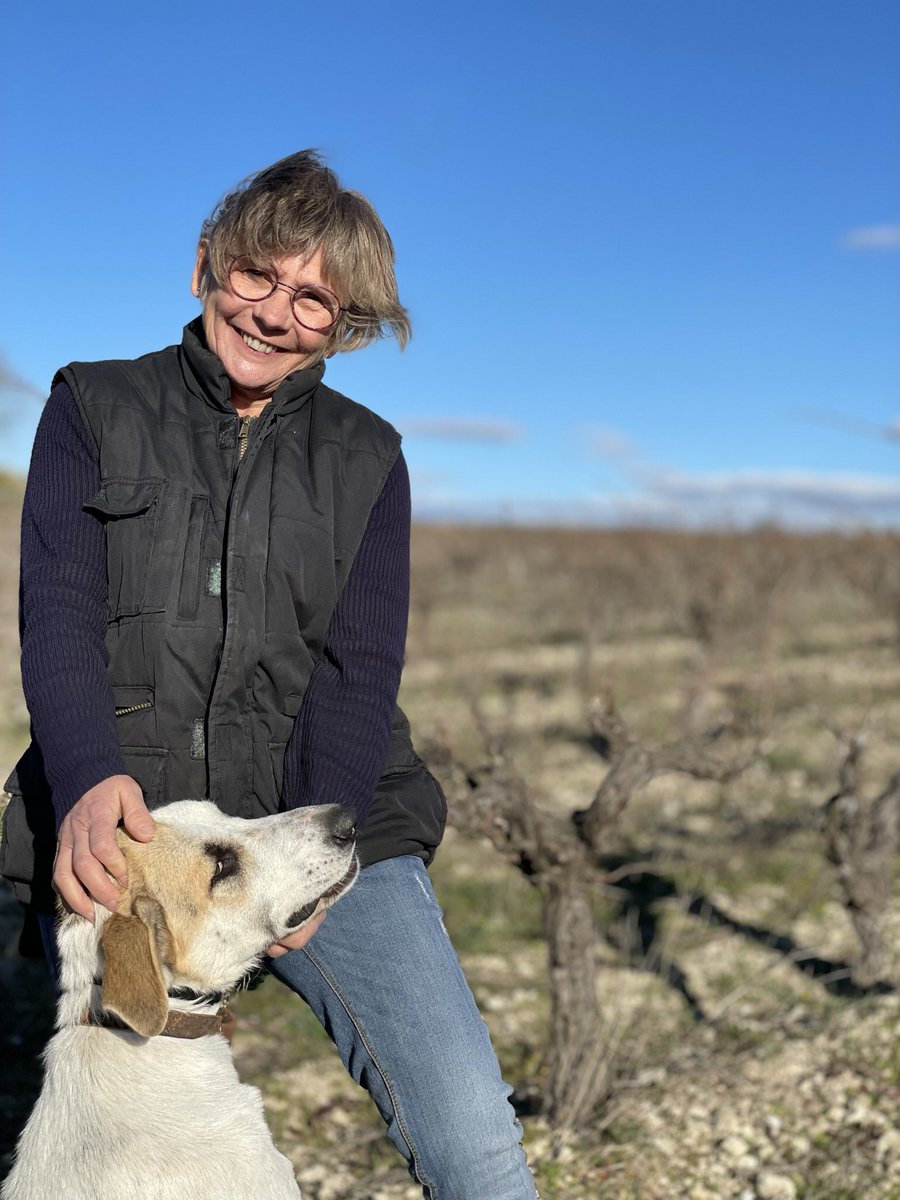 #happyinternationaldogday 🐾🦴fidèles compagnons de nos vignerons 🫶