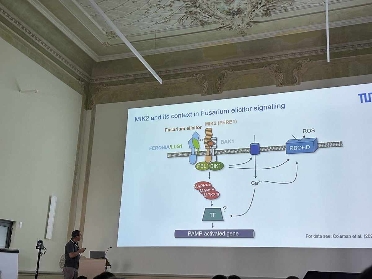 IRTG_PRoTECT's tweet photo. Amazing talk by @HuckelhovenR discussing the  Fusarium elicitor perception functions in plant microbe interactions. https://t.co/Ngm8DLPXKI