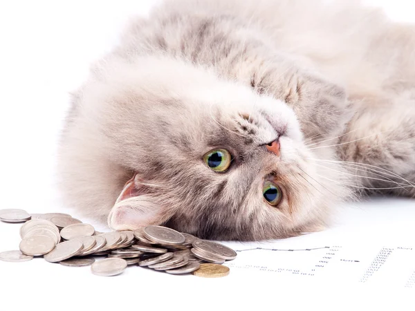 Kate Bosko tweet media