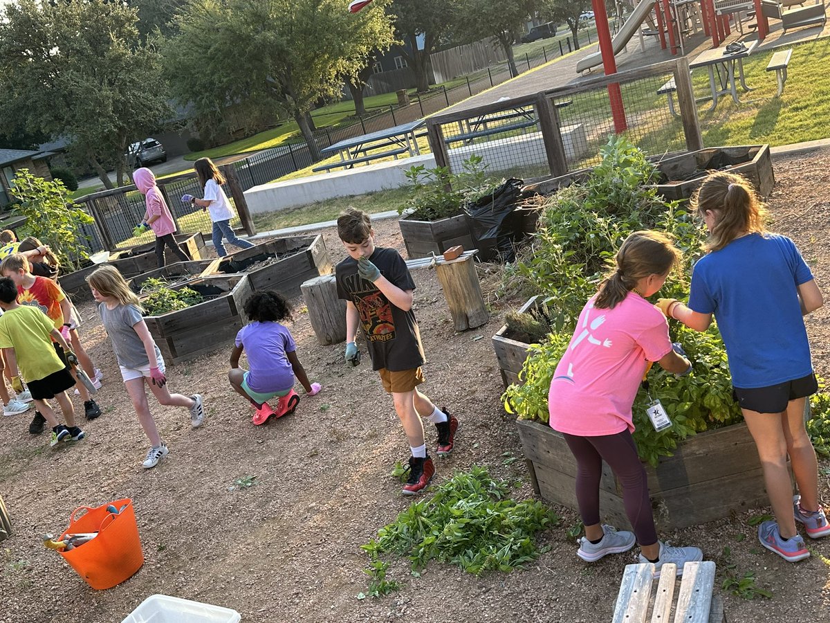 Who happily pulls garden weeds before school on Friday? We do <a href="/canSTEM/">Cannon Cubs</a> #GTLEAD <a href="/GCISD/">Grapevine-Colleyville ISD</a> <a href="/mmgable1/">Melanie Gable</a>