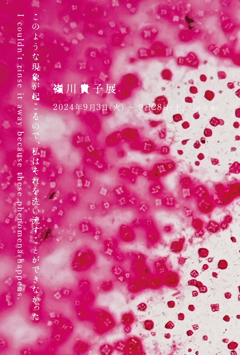 botany_sour's tweet photo. 9月のスケジュール更新しました。

9/3からは嶺川貴子 @tm_meandcat さんによる展示が始まります。(9/7,14には音と朗読のパフォーマンスも。ご予約受付中です。)

平日朝のテイクアウト営業や、金曜日は @bonustrack_skz 出店もあります。

みなさまにお会いできることを楽しみにしてます！ https://t.co/3zGxLNxNV9
