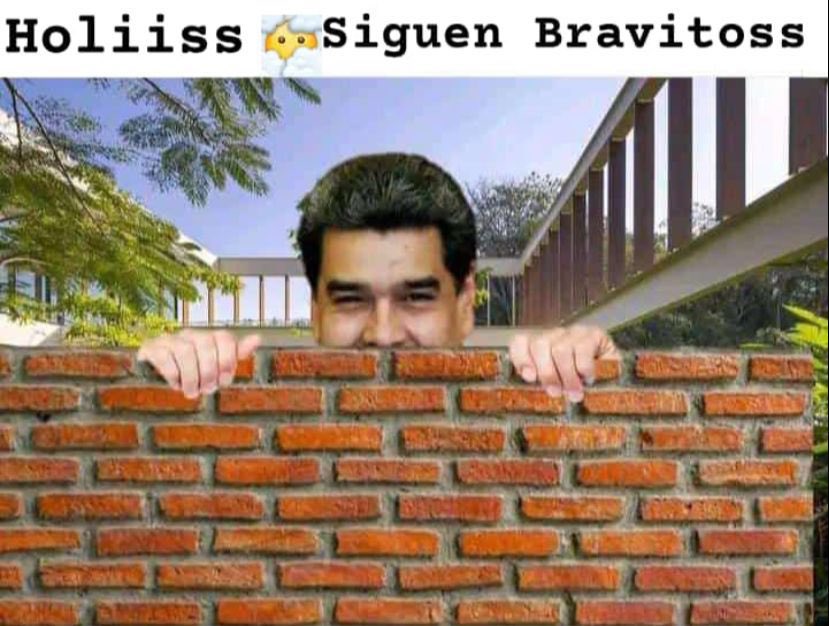 Sra. Yo soy de aquí 19K tweet media