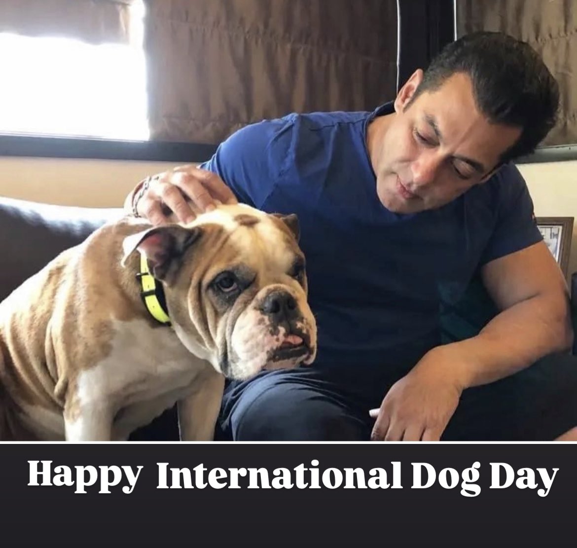 BeingSKFan_Club's tweet photo. Happy International Dog Day !! #DogLovers #DogDay ❤️ @BeingSKFanClub_ @BeingSalmanKhan #Tiger3 https://t.co/ZYzDSRzgZ8