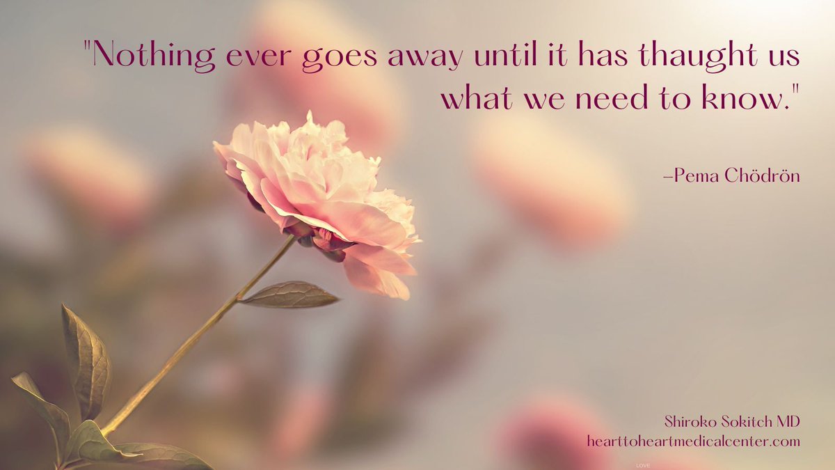 DrShiroko's tweet photo. What do you think about this?😃Could there be something in your life that is sticking around to teach you a #lesson?🤔Stay open to #newpossibilities and #stayintune with how you feel.😉#Healingispossible. You CAN #heal. https://t.co/wSHt2Z92e7⠀⠀ https://t.co/1aWW5tfPoV