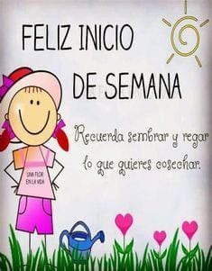 Daniel Gatti (@danielg13975980) on Twitter photo 