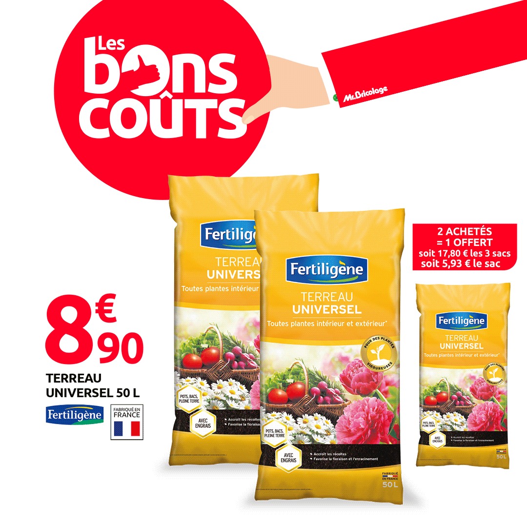 Terreau Universel Intérieur Extérieur 50L - FERTILIGENE