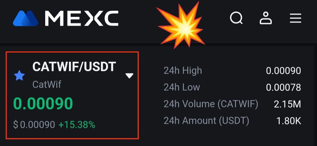 ✅ CATWIFHAT  +15,38 %🔥🔥🔥🔥🔥