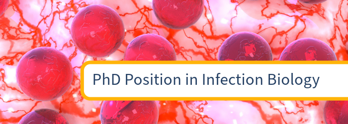 NCCR AntiResist (@nccr_antiresist) on Twitter photo We are delighted to announce we <a href="/NCCR_AntiResist/">NCCR AntiResist</a> are funding a four-year PhD position with the Boeck lab in Infection Biology, focusing on pulmonary Pseudomonas aeruginosa infections using genomic and large-scale wet lab technologies.
👉Read more: nccr-antiresist.ch/join-us/ We are delighted to announce we <a href="/NCCR_AntiResist/">NCCR AntiResist</a> are funding a four-year PhD position with the Boeck lab in Infection Biology, focusing on pulmonary Pseudomonas aeruginosa infections using genomic and large-scale wet lab technologies.
👉Read more: nccr-antiresist.ch/join-us/