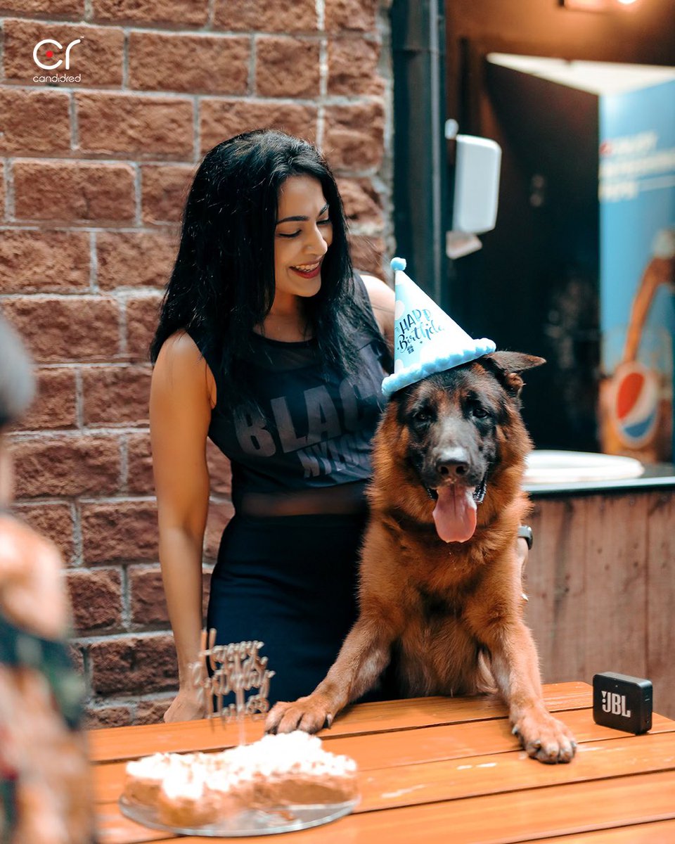 You’ve brought life back into my world, filling the void with your mischievous charm and boundless energy. 

Thank you for keeping me reminded each day that the best kind of love is the one that makes you feel truly alive.
Love you My HERO ♥️🤗😘
#InternationalDogsDay