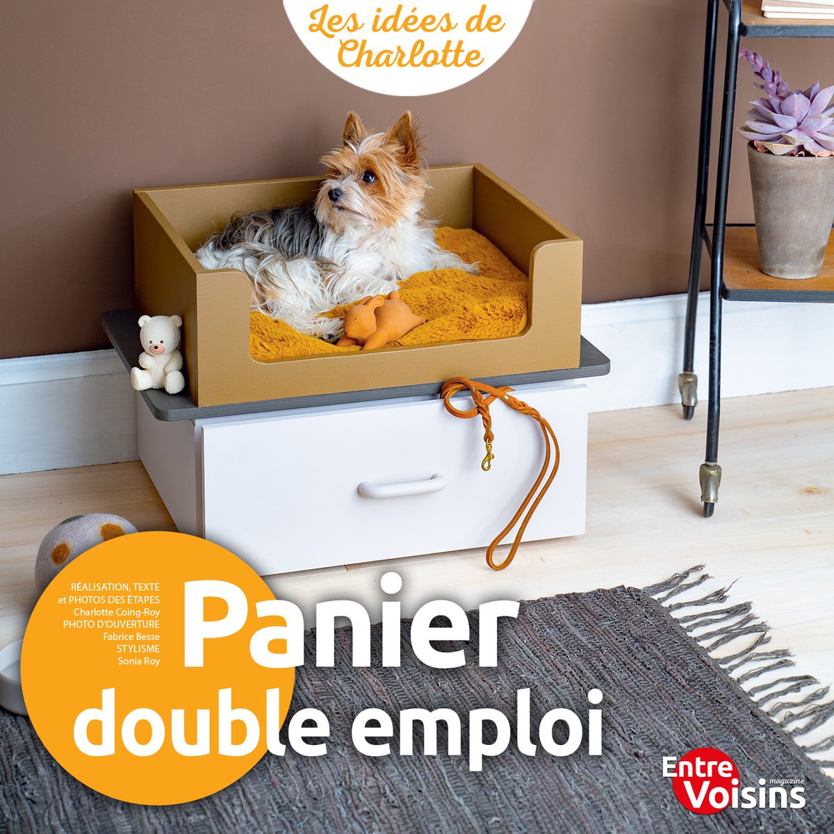 Rien n’est trop beau pour votre fidèle compagnon à 4 pattes !