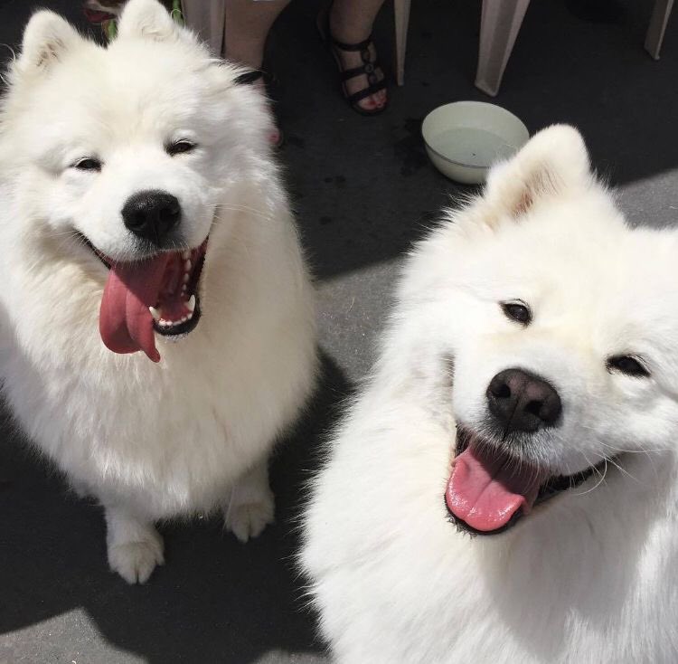 แหะๆ ภูธัชชัยกับน้องภีมธนัช สองพี่น้องซามอยตัวหย่ายยย
