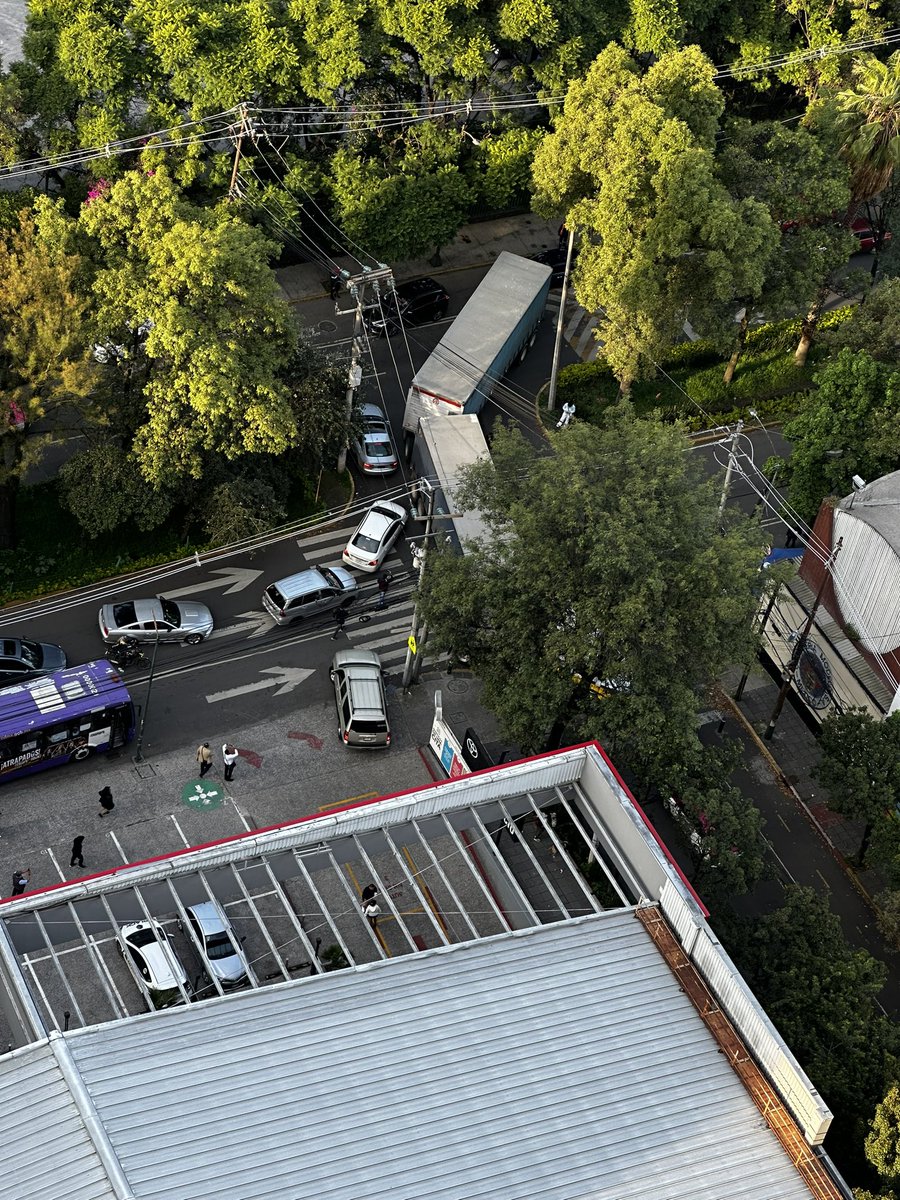 Mónica Mistretta tweet media