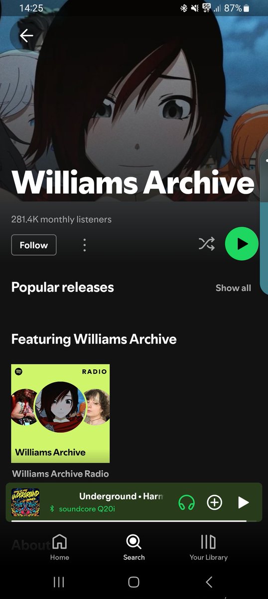 DomJ_Raven's tweet photo. Don't know if you saw @caseylwilliams, but it looks like some of the pirated music is finally being removed, at least on Spotify! https://t.co/ZMICxlZW4a