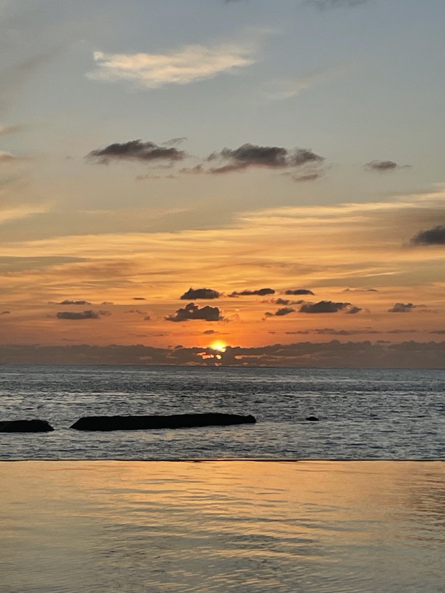 Serena Nik-Zainal tweet media