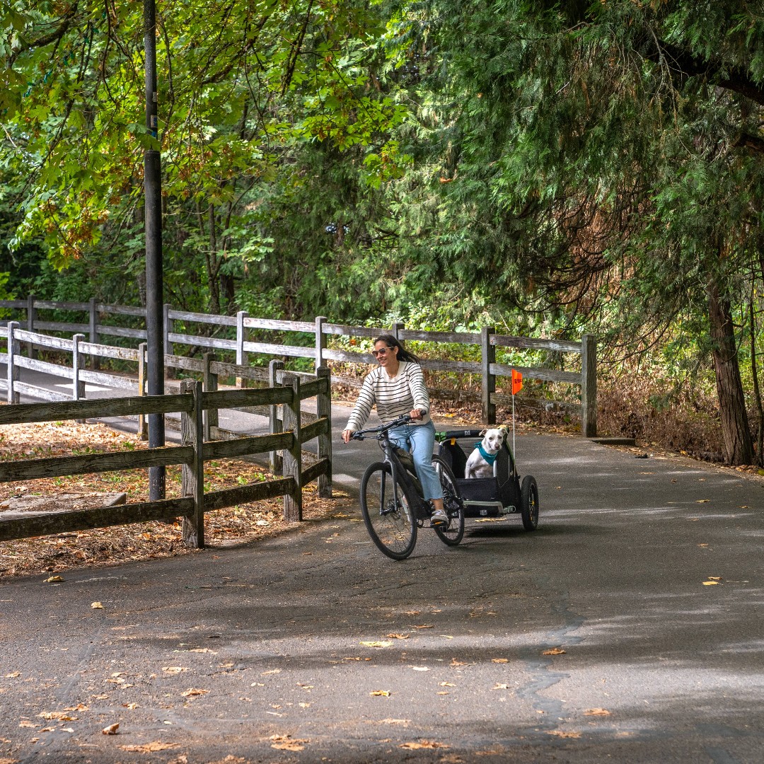 Happy National Dog Day to our favorite furry friends! 🐾

#NationalDogDay #RideYourWay
burley.com/collections/pe…