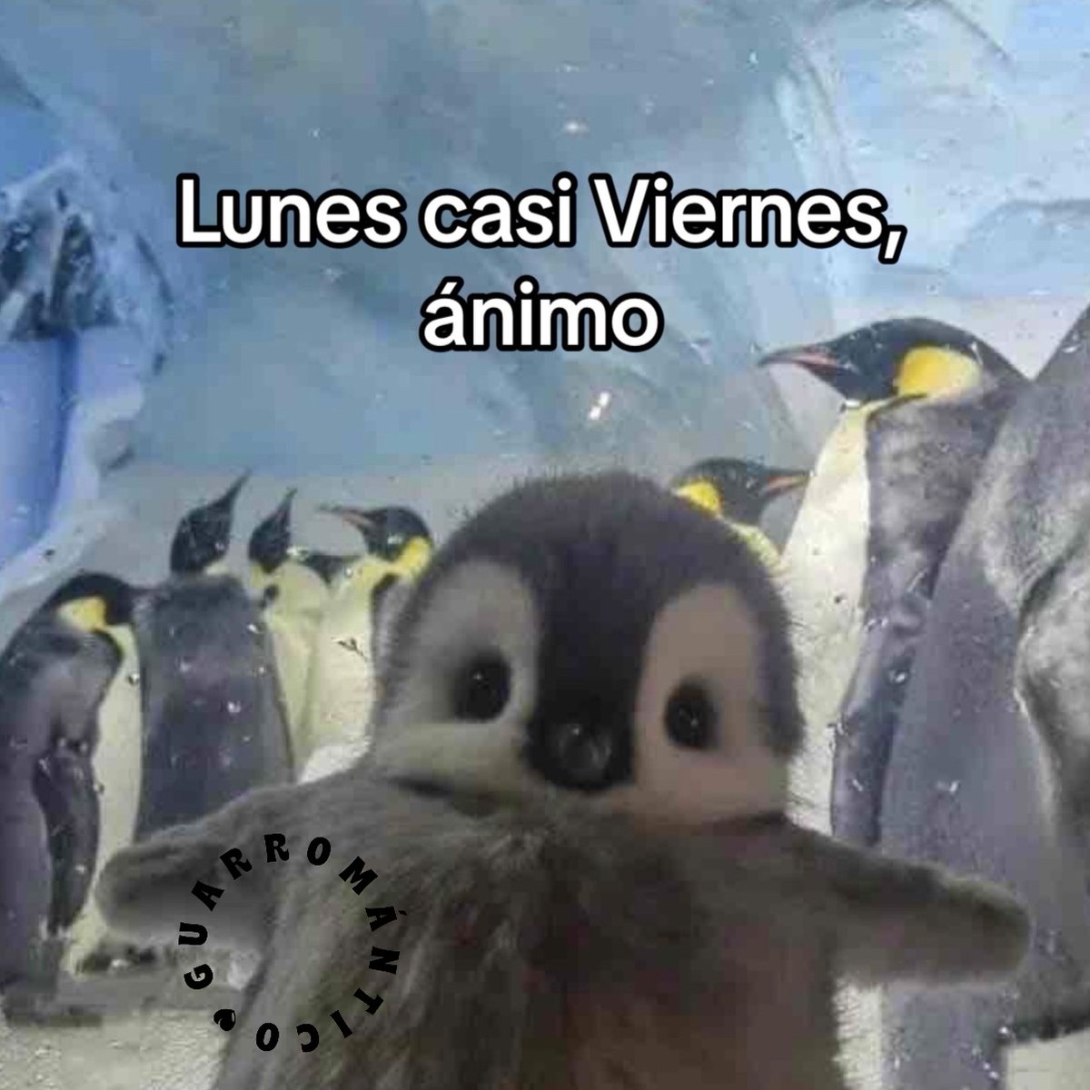 Content from littlerogerss