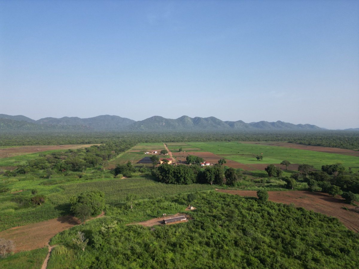 AjoNoel's tweet photo. My farm, the Igele farms in the village. https://t.co/uSEivKHSYH