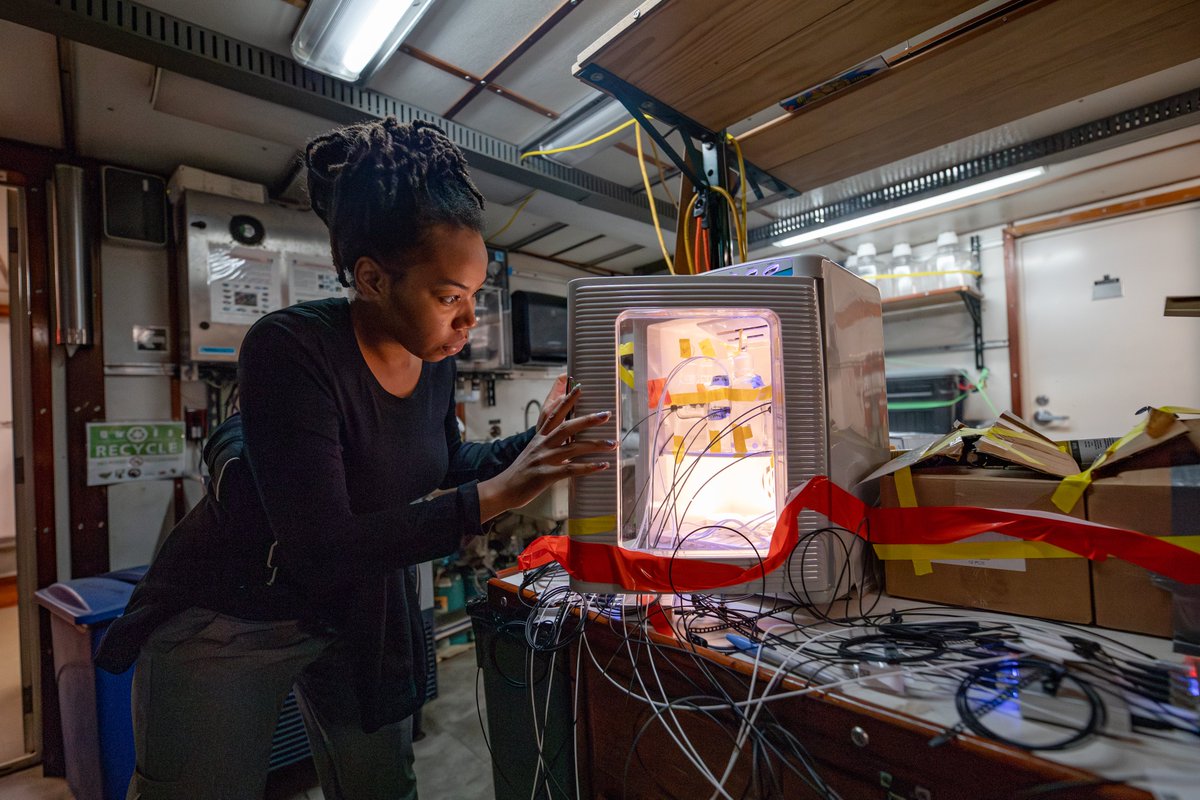📣#MTTM
C-CoMP Postdoc Fellow Dr. Nicole Lynn-Bell is a member of <a href="/BryndanDurham/">Bryndan Durham</a>'s Lab <a href="/UF/">FLORIDA</a> and investigates how changes to light and nutrient regimes impact marine phytoplankton and bacteria interactions. Thanks to <a href="/punk_scientist/">Lisa Coe</a> for the great photo!