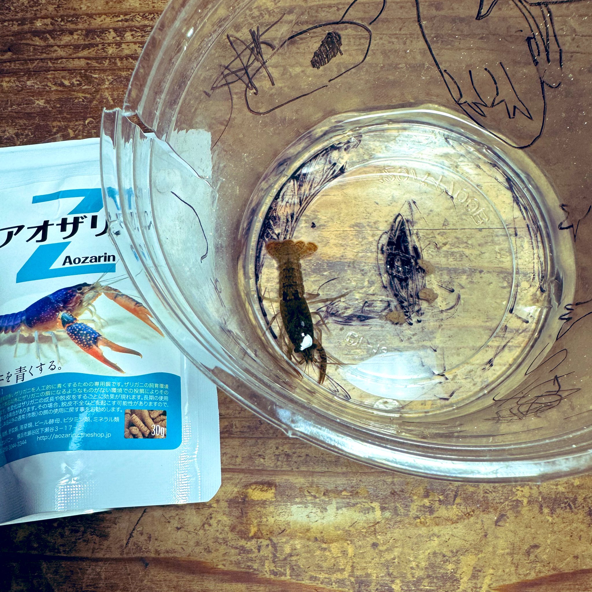 ザリガニページです。 SLEEPER CRAW | Megabass-メガバス