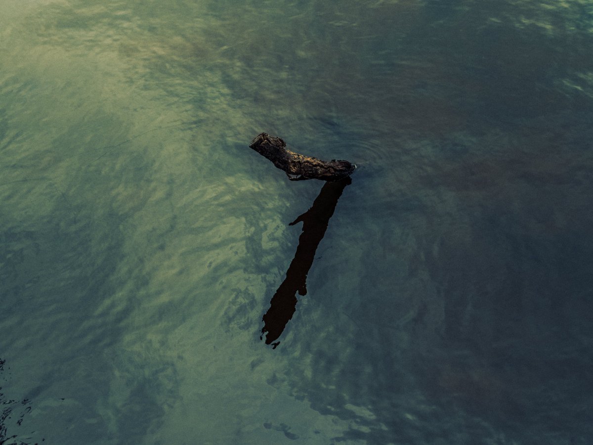 artofseanmurphy's tweet photo. Grounded &amp; Flowing https://t.co/cWkYBuAgC3