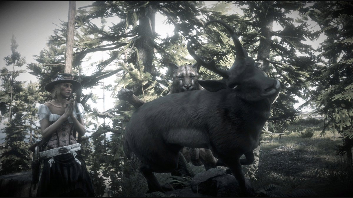 Candysseus's tweet image. Big Cats❤️‍🔥🐾😼🐾❤️‍🔥

ADVANCED CAMERA- KILL CAM FILTER    

#RedDeadPics for #PhotomodeMonday       
by #MissCandyLicious🍭          

GAME: #RedDeadOnline
DEV: #RockstarGames
PLATFORM: #PS5