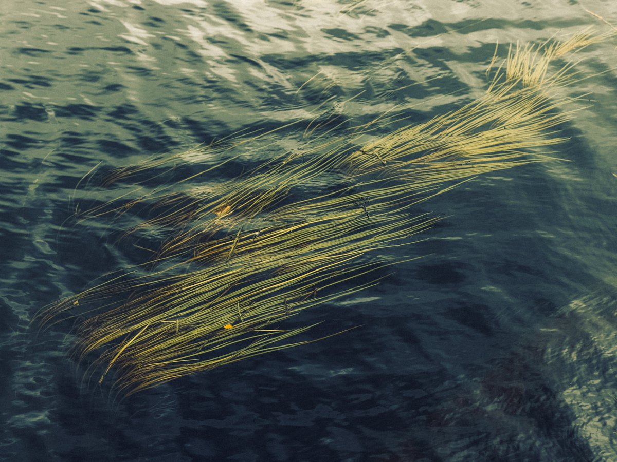 artofseanmurphy's tweet photo. Grounded &amp; Flowing https://t.co/cWkYBuAgC3