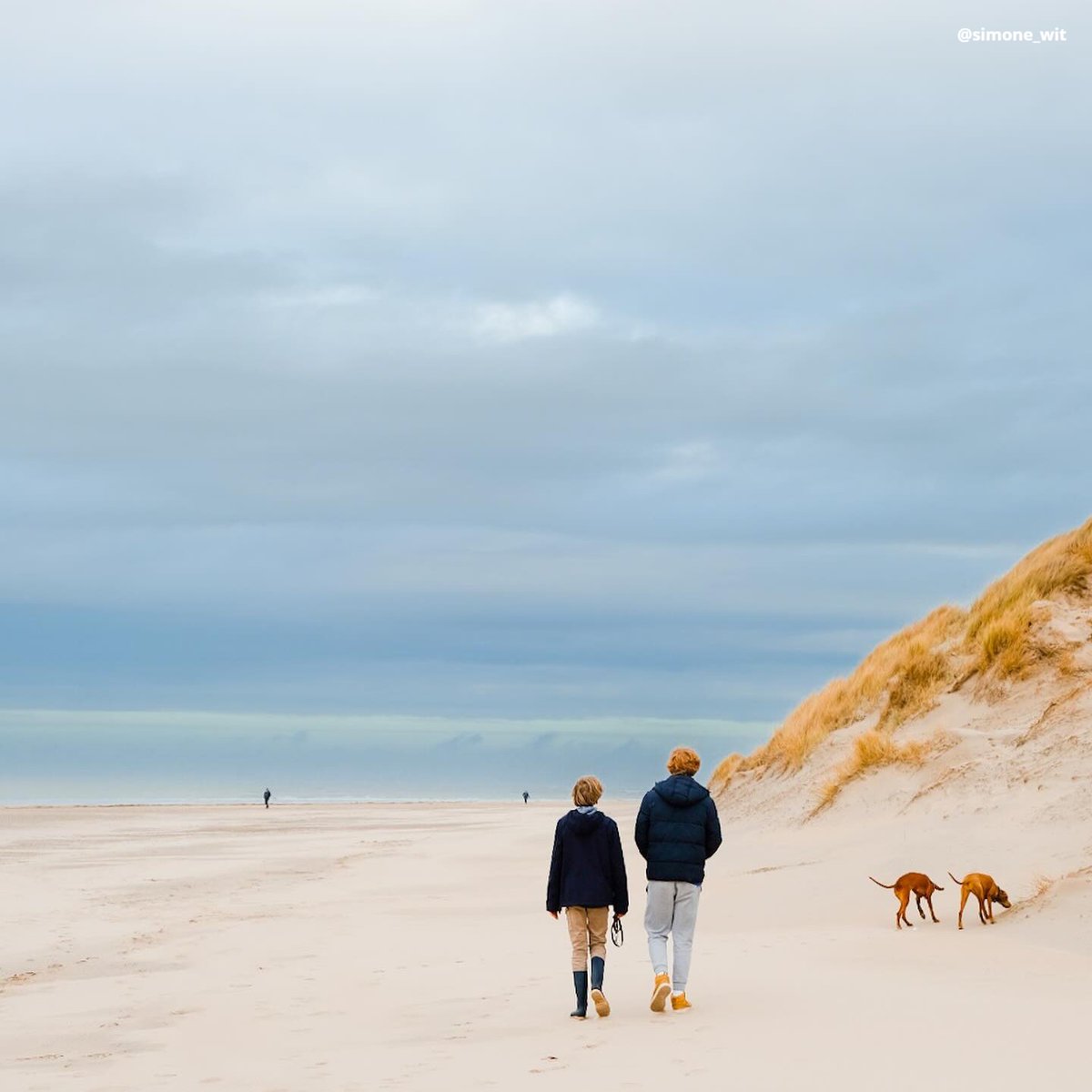 Visit Europe tweet media