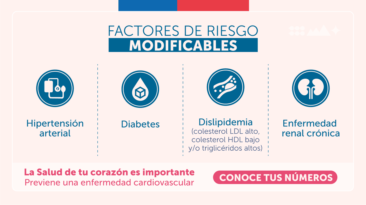 📆❤️#MesDelCorazón
Conoce los factores de riesgo y pon manos a la obra a los que puedes modificar. Son muchos y entre más de ellos logres cambiar tendrás una vida más saludable, con más años y mejor calidad de vida. 
#CuidatuCorazón