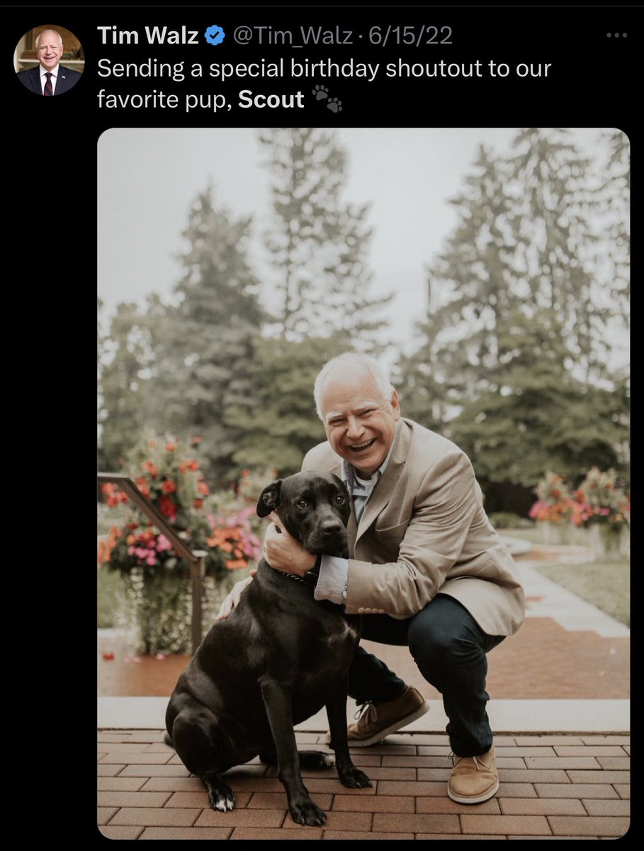 GrageDustin's tweet image. Yes, this is Tim Walz tweeting about his dog Scout. Only problem is that these are two completely different dogs.