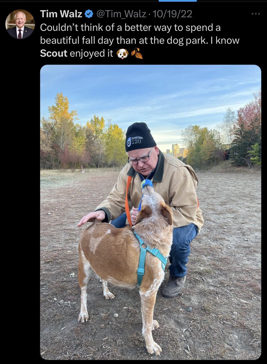 GrageDustin's tweet image. Yes, this is Tim Walz tweeting about his dog Scout. Only problem is that these are two completely different dogs.