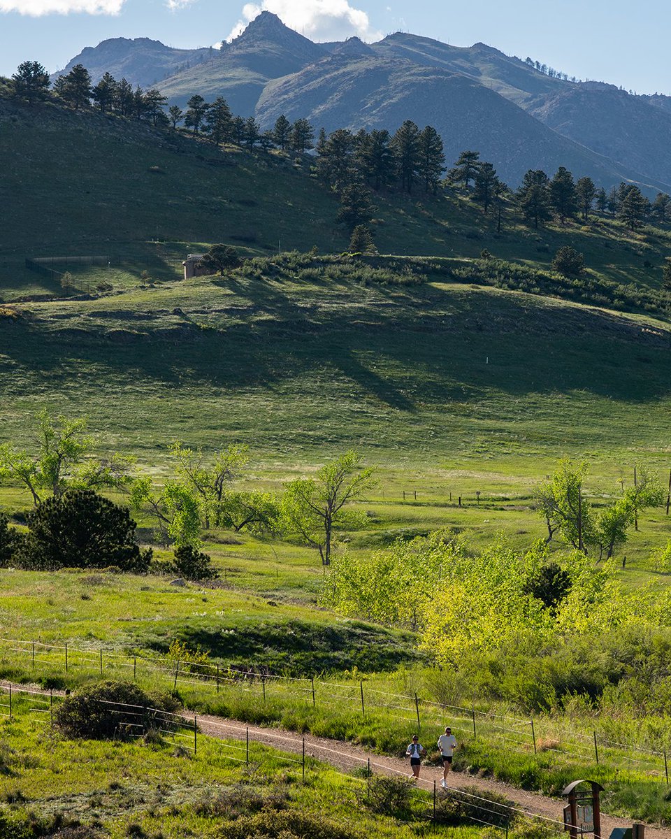 Mount to Coast tweet media