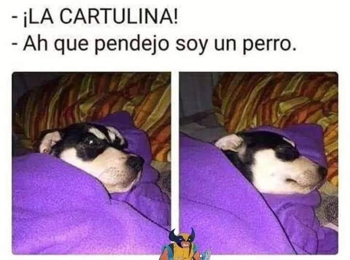lobitogarces's tweet photo. https://t.co/ZSYDZ4eOOg