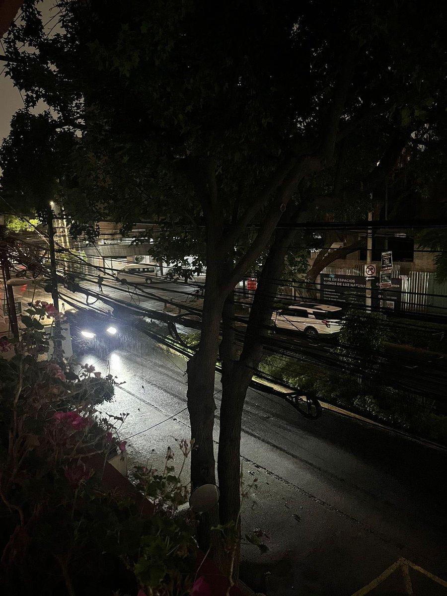 Sjitescucha tweet media